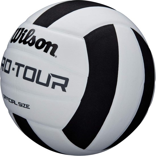 Volleybal Zwart Wit Abstract Grijs Volleybal Silhouet Geïsoleerd Op