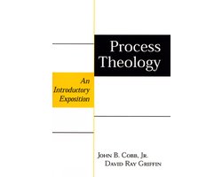 Omslag van Process Theology