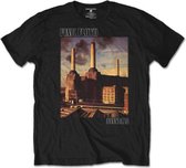 Pink Floyd Heren Tshirt -M- Animals Album Zwart