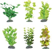 Aquarium plant brasil, assorted silk, xs