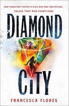 City of Steel and Diamond 1 - Diamond City