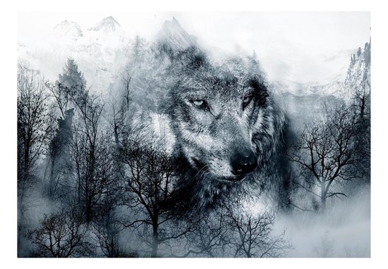 bol.com | Fotobehang - Wolf in de bergen , Zwart Wit