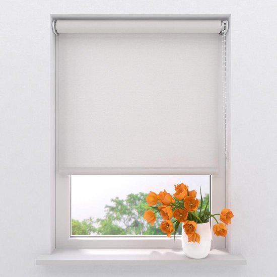 Rolgordijn Easy Lichtdoorlatend - Bright White - 100 x 275 cm