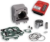 Cilinder Malossi 49,0mm + ECU | Piaggio 4T 3V E3