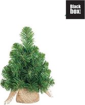 Black Box Trees - Norton deluxe kerstboom met burlap groen TIPS 30 - h30xd15cm - Kerstbomen