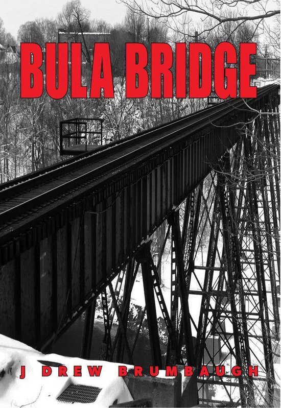 Omslag van Bula Bridge