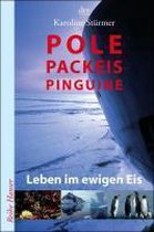 Pole, Packeis, Pinguine