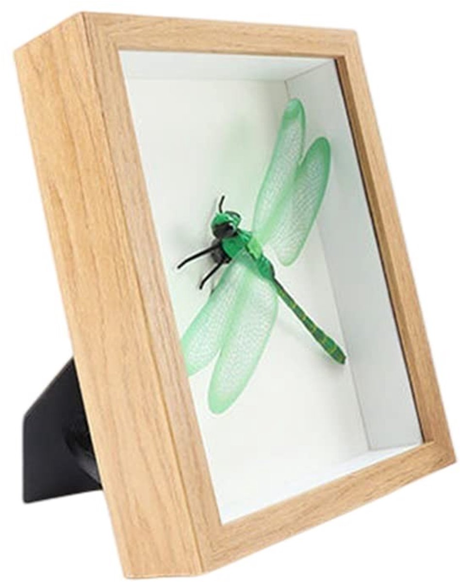 Dailygoods- Schaduwbox 3,1 cm diep - Houten Fotolijst - Fotolijst 5 x 7 cm - Voor Droogbloemen/Medailles - Veilig voor Kinderen - Duurzaam Kunststof