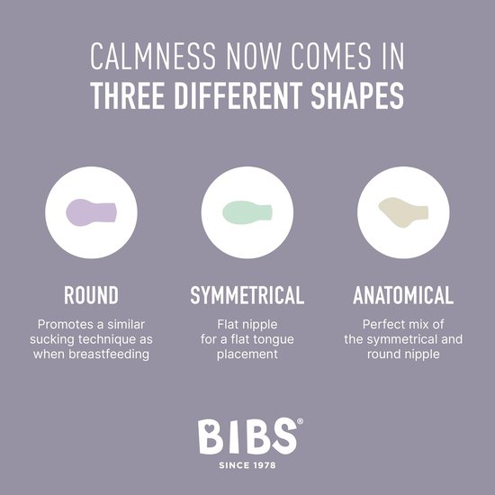 BiBS - Try it Collection - Fopspenen Fase 1 - Baby Blue - 4 stuks van BIBS — afbeelding 2