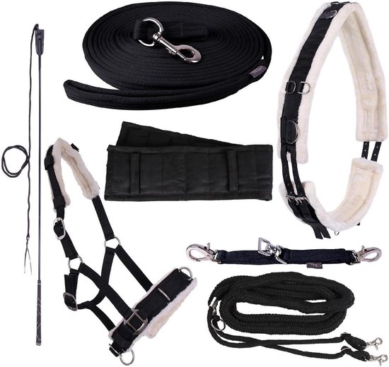 Longeer Set - Paardentraining Hulpmiddelen - Paard Grondwerk - Verstelbare Ringen - Shetty - Zwart Longeer Set - Paardentraining Hulpmiddelen - Paard Grondwerk - Verstelbare Ringen - Shetty - Zwart