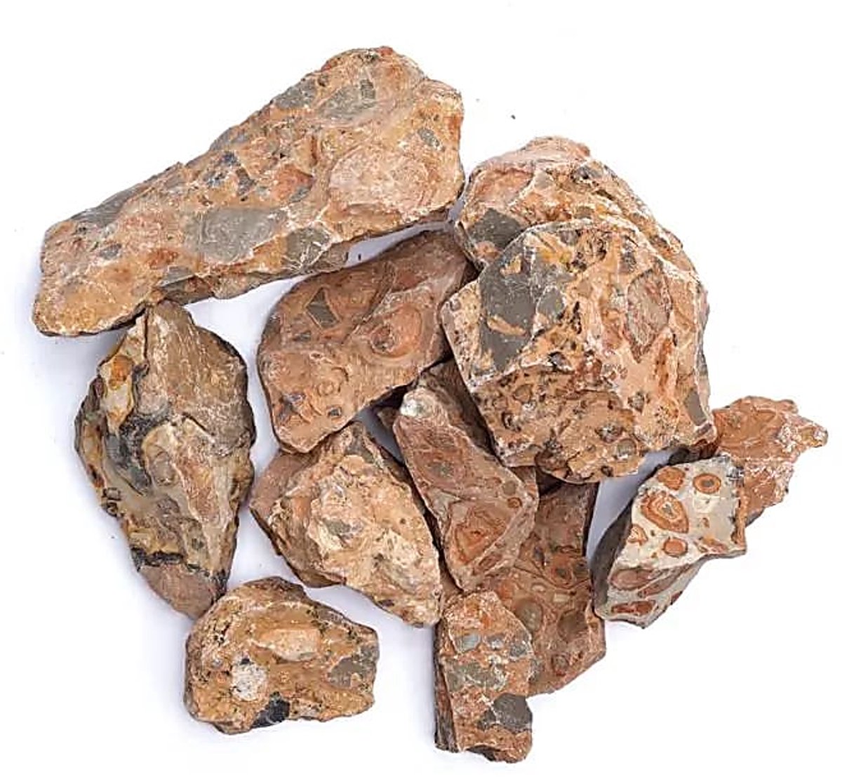 Ruw Luipaardiet - ±3-8cm; ±1000g - ±3-8cm; ±1000g