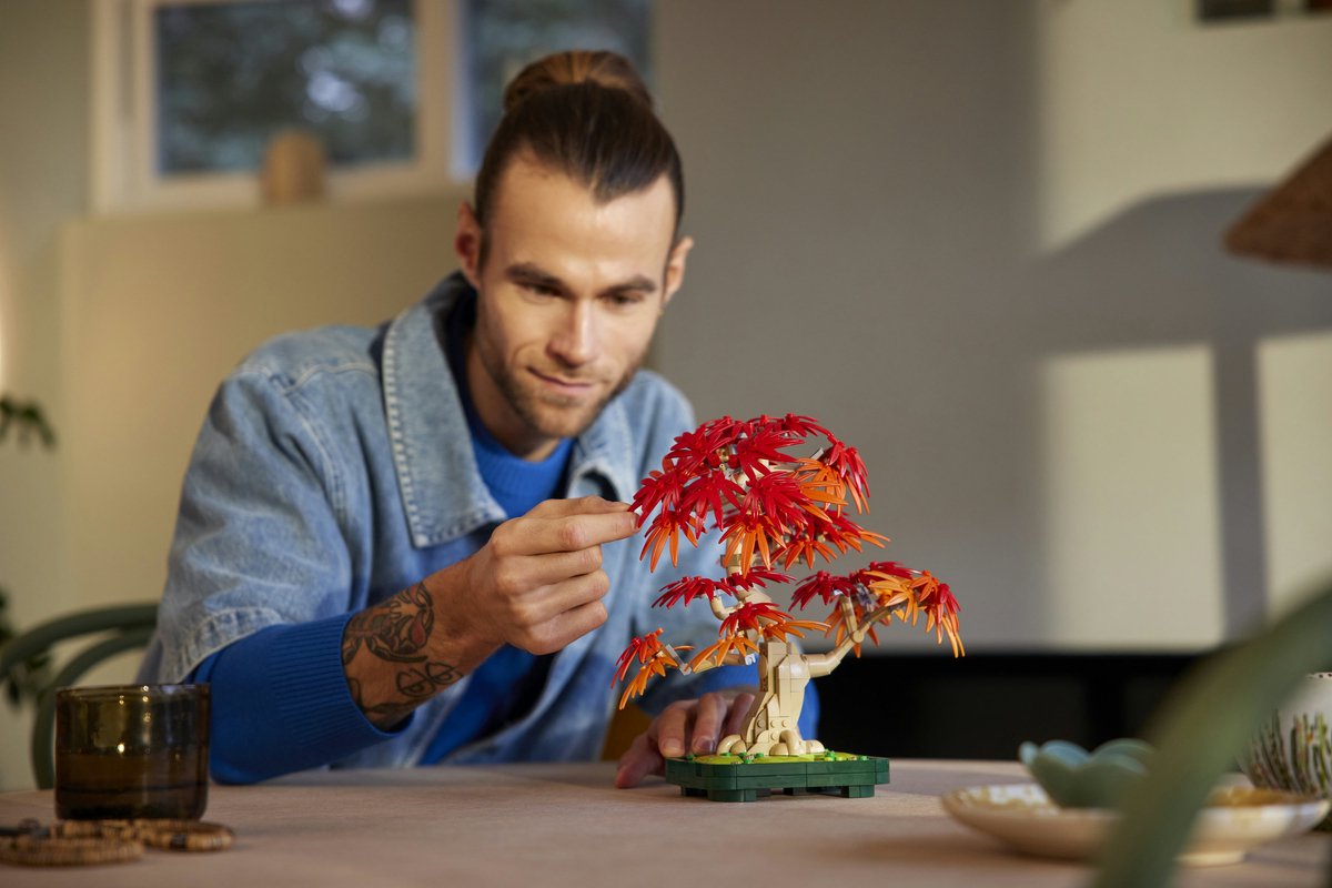 LEGO Botanicals Japanse Esdoorn Bonsaiboompje - 10348 — afbeelding 12