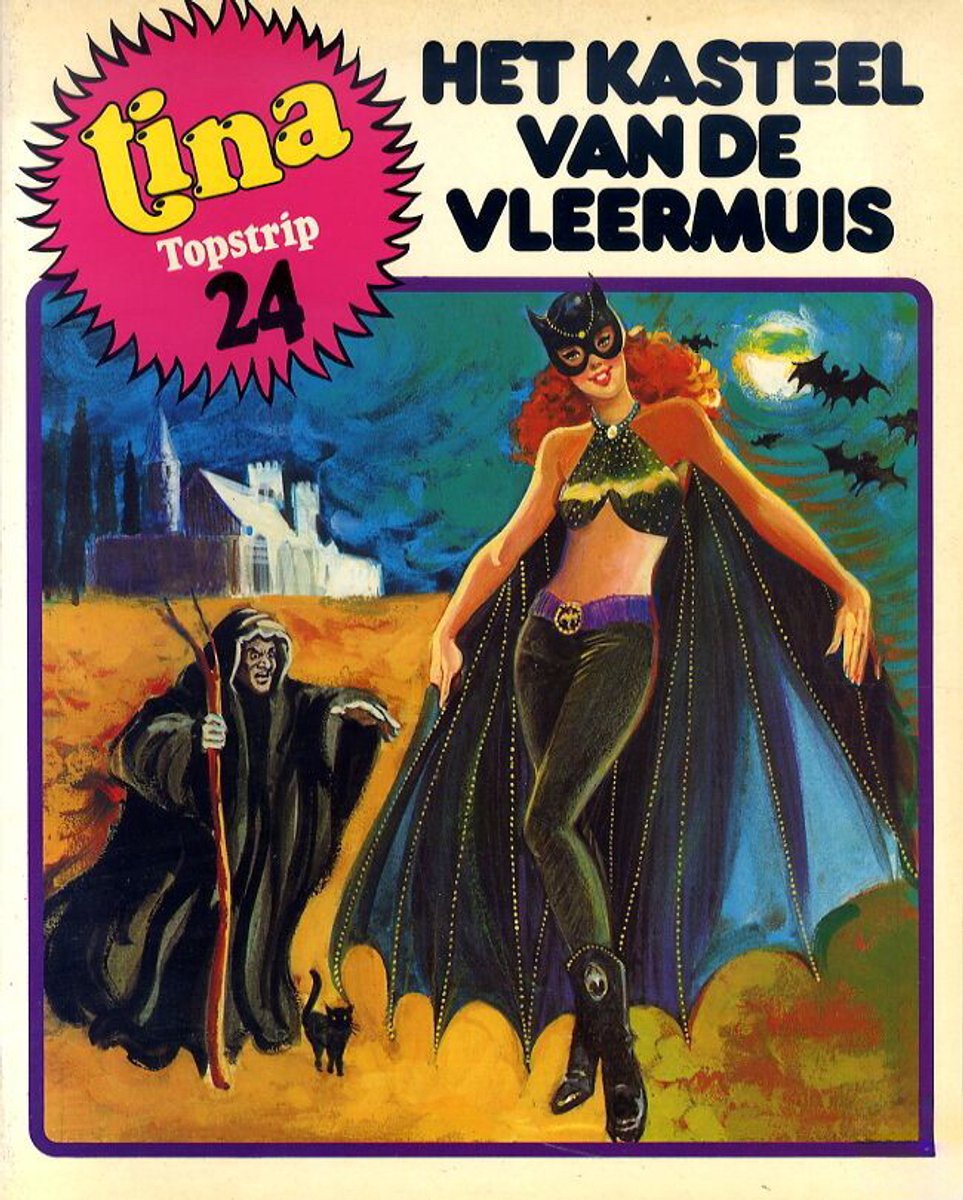 Het Kasteel Van De Vleermuis