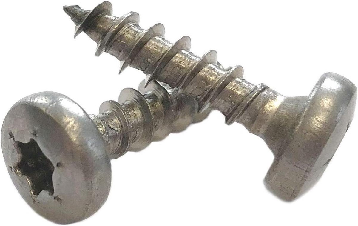 Panhead Schroeven - Halfronde Kop - Houtverbindingen Maken - Volledige Schroefdraad - 5x20 mm 500 St. - Roestvrij Staal