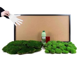 Mosafbeelding Set - Wanddecoratie Zelf Maken - Creatief Hobby - Echt Geconserveerd Mos - 110 x 55 cm - Zwart