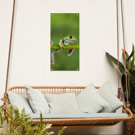 Tuinposter 40x80 cm - Tuindecoratie Kikkers - Tak - Groen - Poster voor in de tuin - Buiten decoratie - Schutting tuinschilderij - Tuindoek muurdecoratie - Wanddecoratie balkondoek