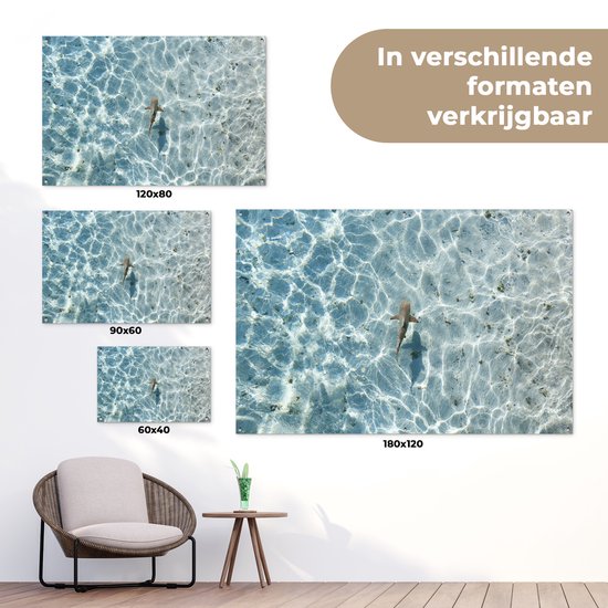 Décoration murale Requin en eau peu profonde - 180x120 cm - Poster de jardin