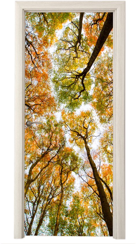 Poster de porte avec l'apparence d'une forêt d'arbres d'automne, feuilles aux couleurs chaudes d'automne.