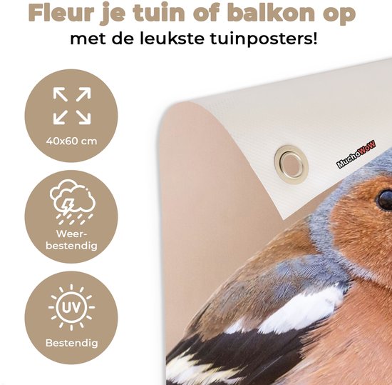 Poster de Jardin Vogel - Animaux - Pinson - 200x200 cm - Toile de jardin
