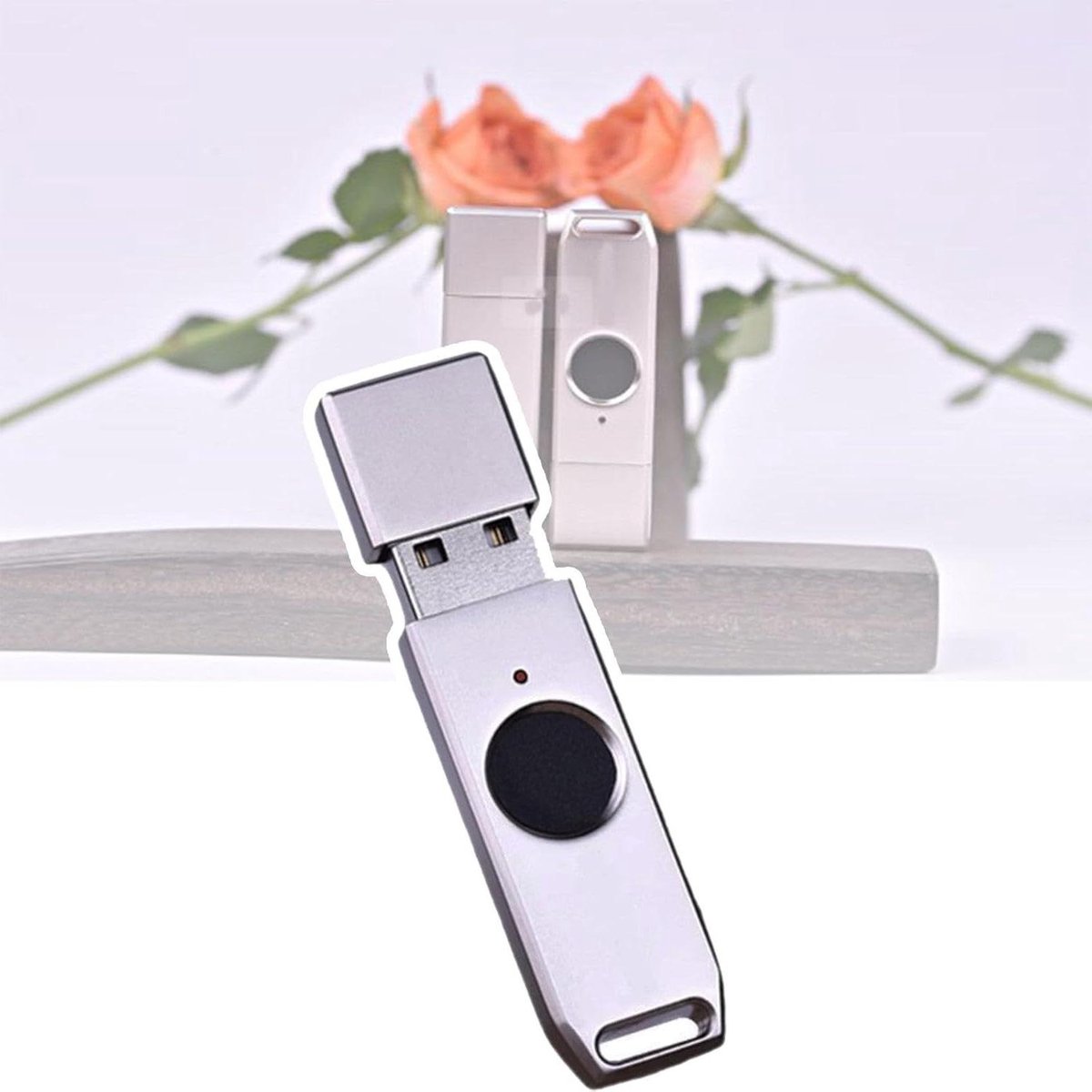 Vingerafdruk USB-stick - Beveiligde opslag - Veilige dataopslag - 10 vingerafdrukken - 512GB - Zilver