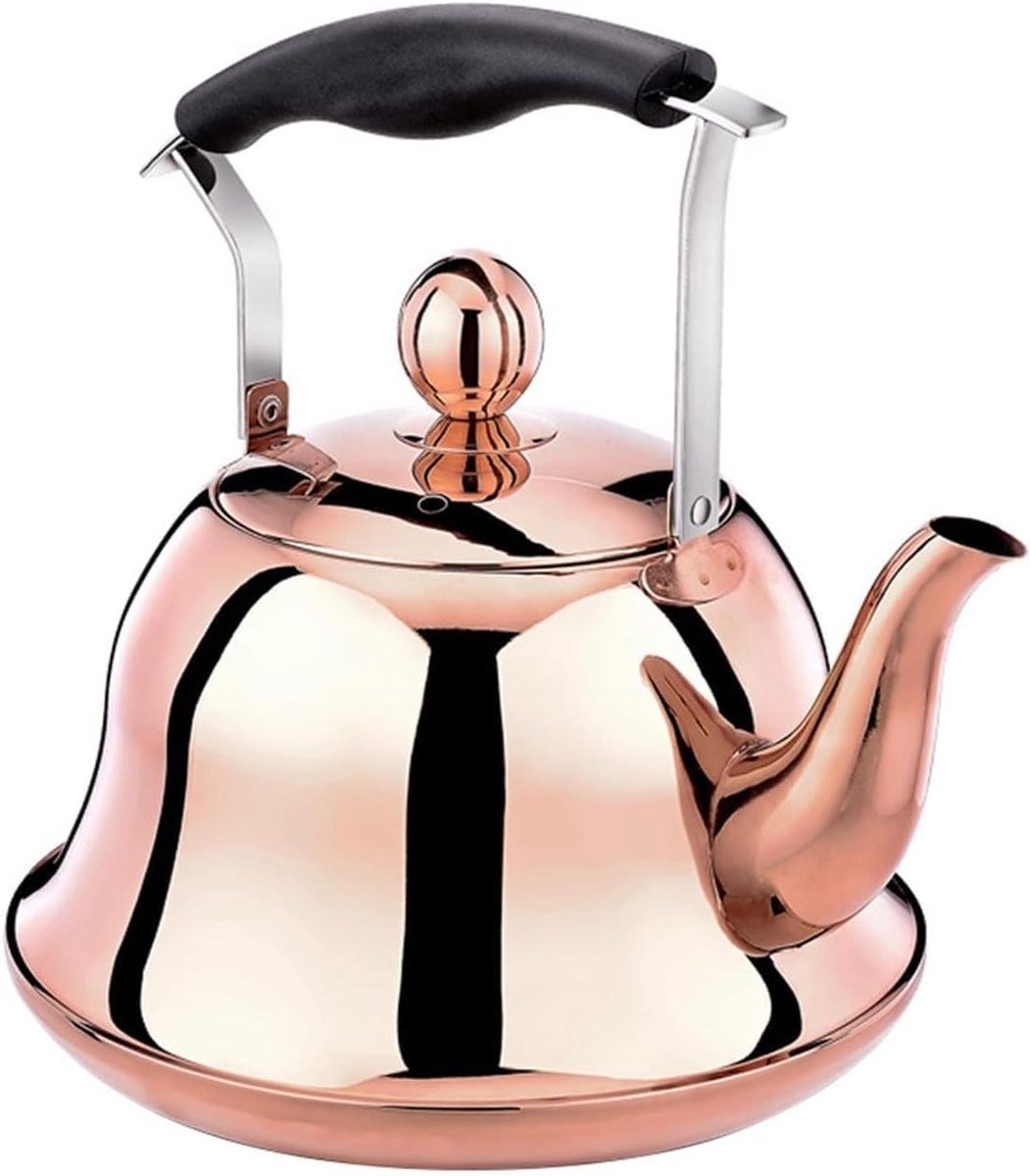Koffieketel Roestvrij Staal - Waterketel Fluitend - Warme Dranken Maken - Inductie Geschikt - 2.0 Liter - Titanium