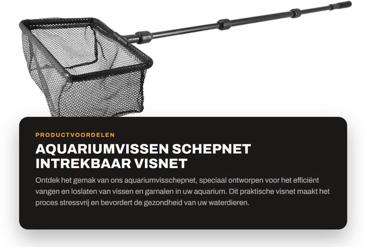 Dailygoods- Schepnet Intrekbaar - Visnet - Garnalen Net - Aquarium - Vissen Vangen - Verstelbare Handgreep - Efficiënt en Praktisch - Visschepnet