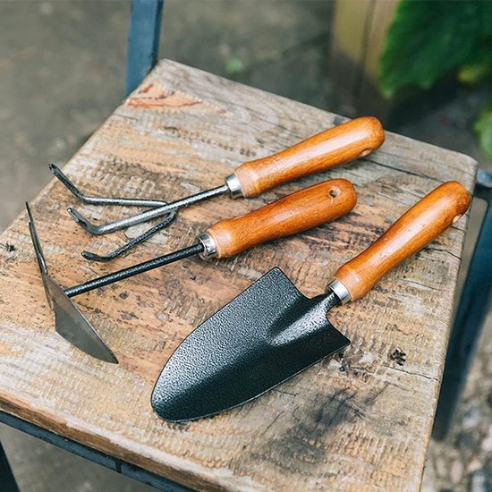 Mini tuingereedschap set - Houten handvatten - Bodem voorbereiden - Duurzaam en roestvrij - 25 cm lengte - Niet gespecificeerd van MINI — afbeelding 5