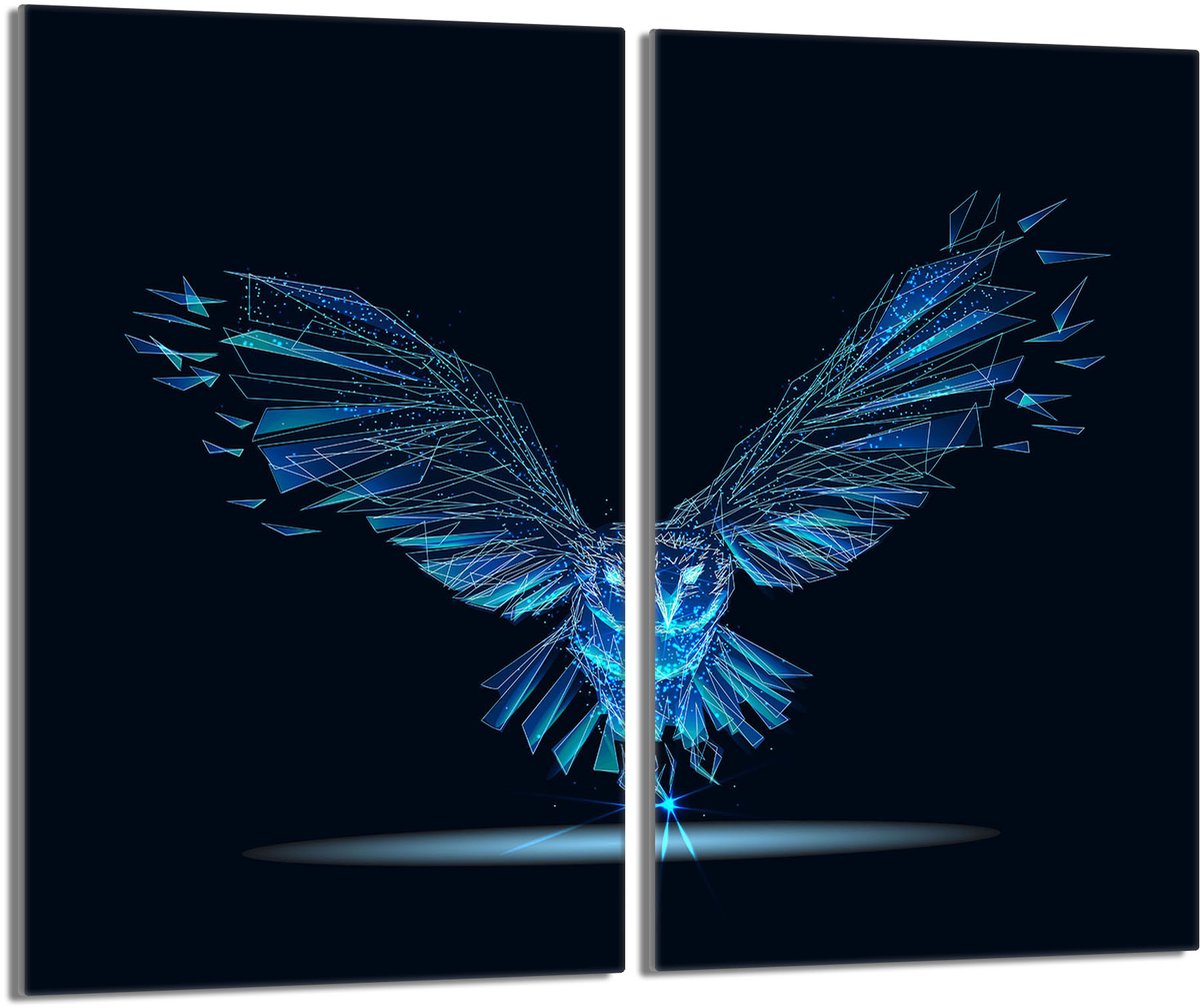 TMK ArtDeko - Beschermplaat - Glas - 2x30x52 cm - Ptak