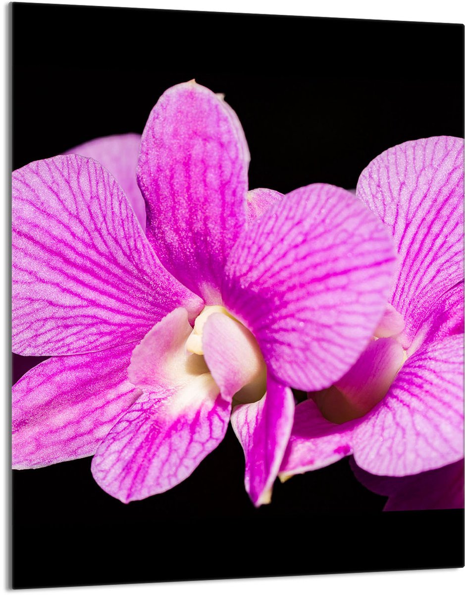 TMK ArtDeko Orchidea - Snijplank van Gehard Glas - 40x52 cm - Antislip - UV-print