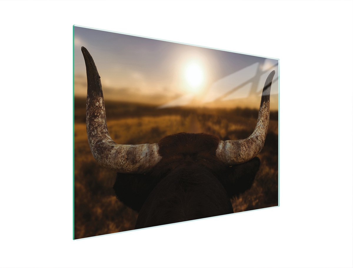 TMK ArtDeko - Snijplank van Gehard Glas - 30x22 cm - Zonneprint - Antislip Voetjes