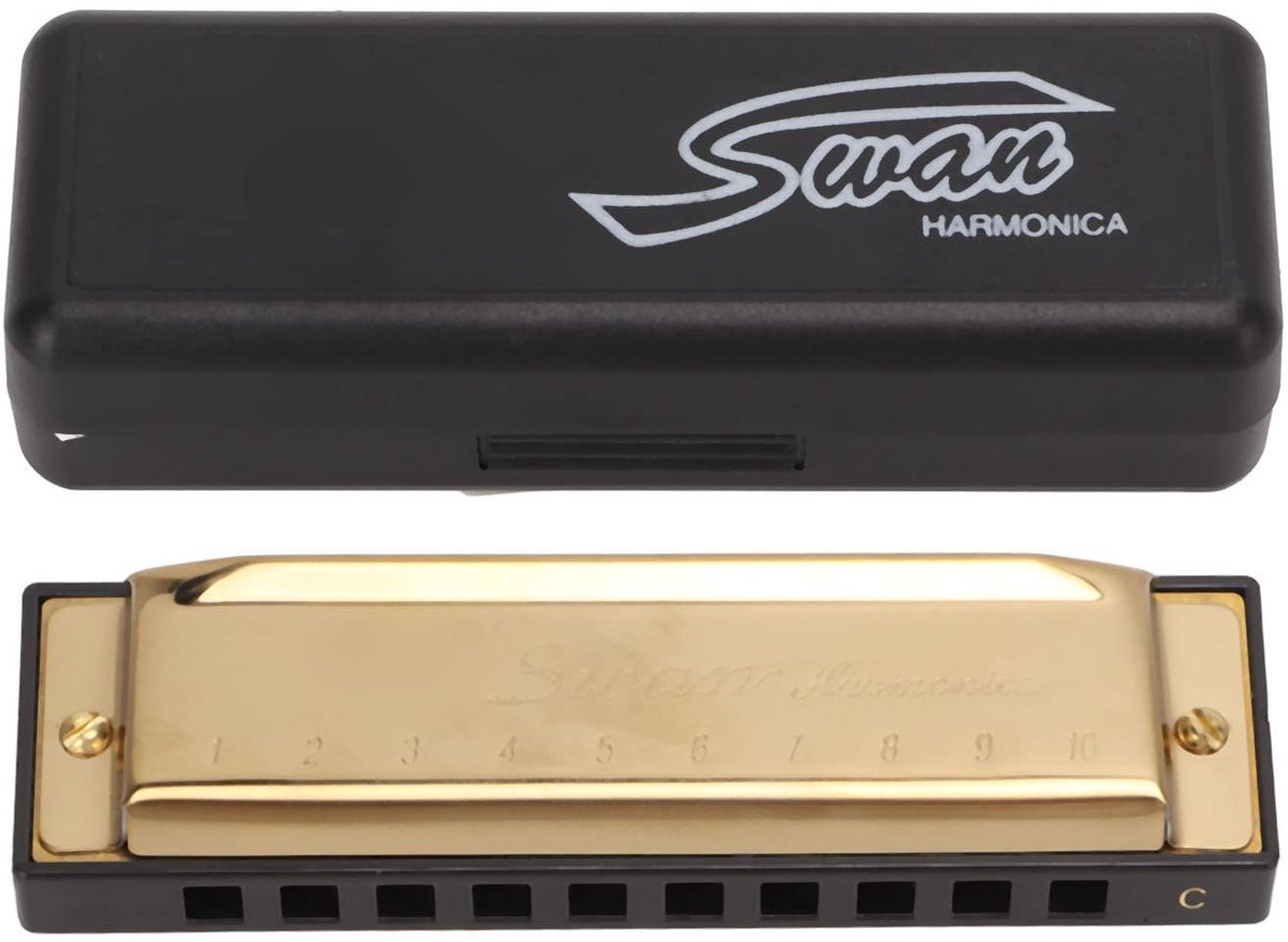 Dailygoody - C Key Harmonica - Mondharmonica - Hoogwaardige kwaliteit - Gouden - 10 Gat 20 Toon - Geschikt voor beginners en kinderen - Muzikaal plezi