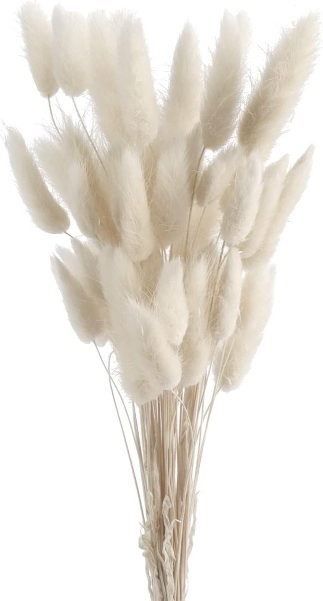 60 Stuks Gedroogde Pampas Gras en Bloemen voor Boho Decoratie, Bruiloften en Feesten in Wit en Bruin