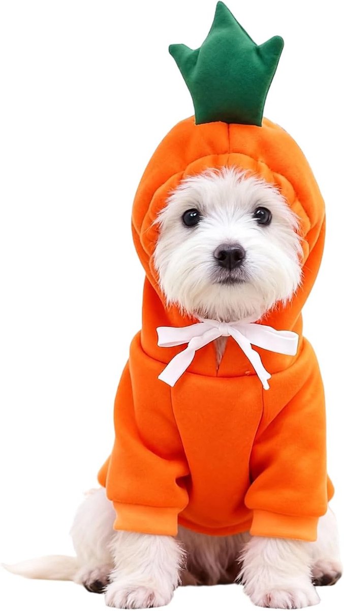 Schattig kerstkostuum voor honden - Carrot sweatshirt voor kleine en middelgrote honden, perfect voor foto's en feestdagen
