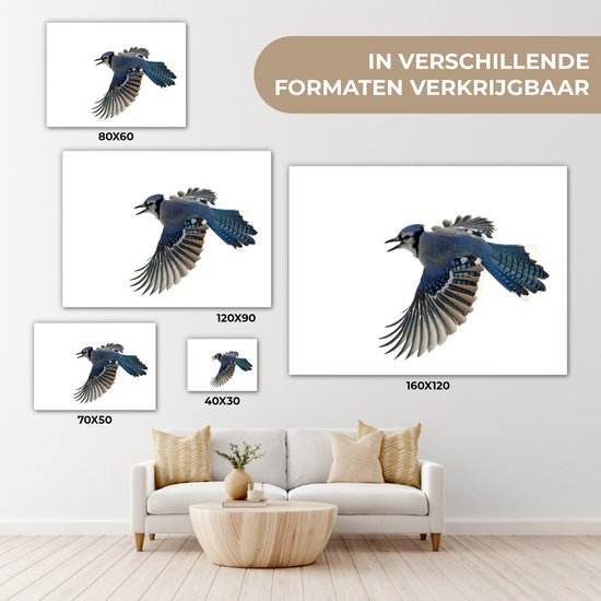 Blue Jay devant toile fond blanc 2cm 80x60 cm - impression photo sur toile peinture Décoration murale salon / chambre à coucher) / Animaux sauvages Peintures Toile