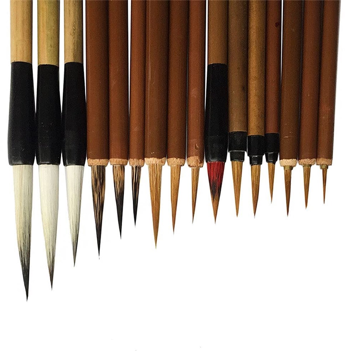 Dailygoods - Set van 16 Kalligrafiepenselen voor Sumi Tekening