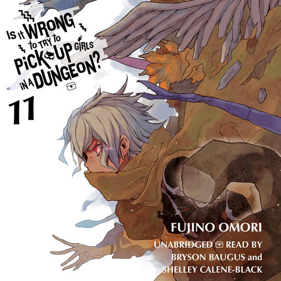 Is It Wrong to Try to Pick Up Girls in a Dungeon?, Vol. 11 - cover