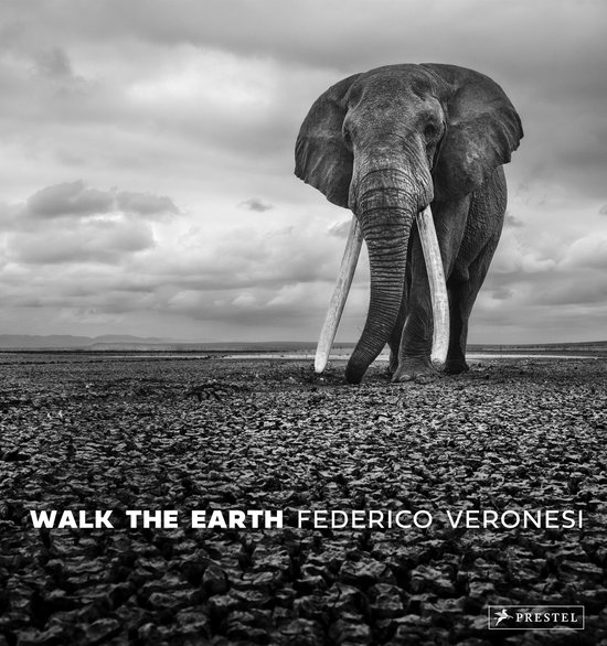 Walk the Earth - cover