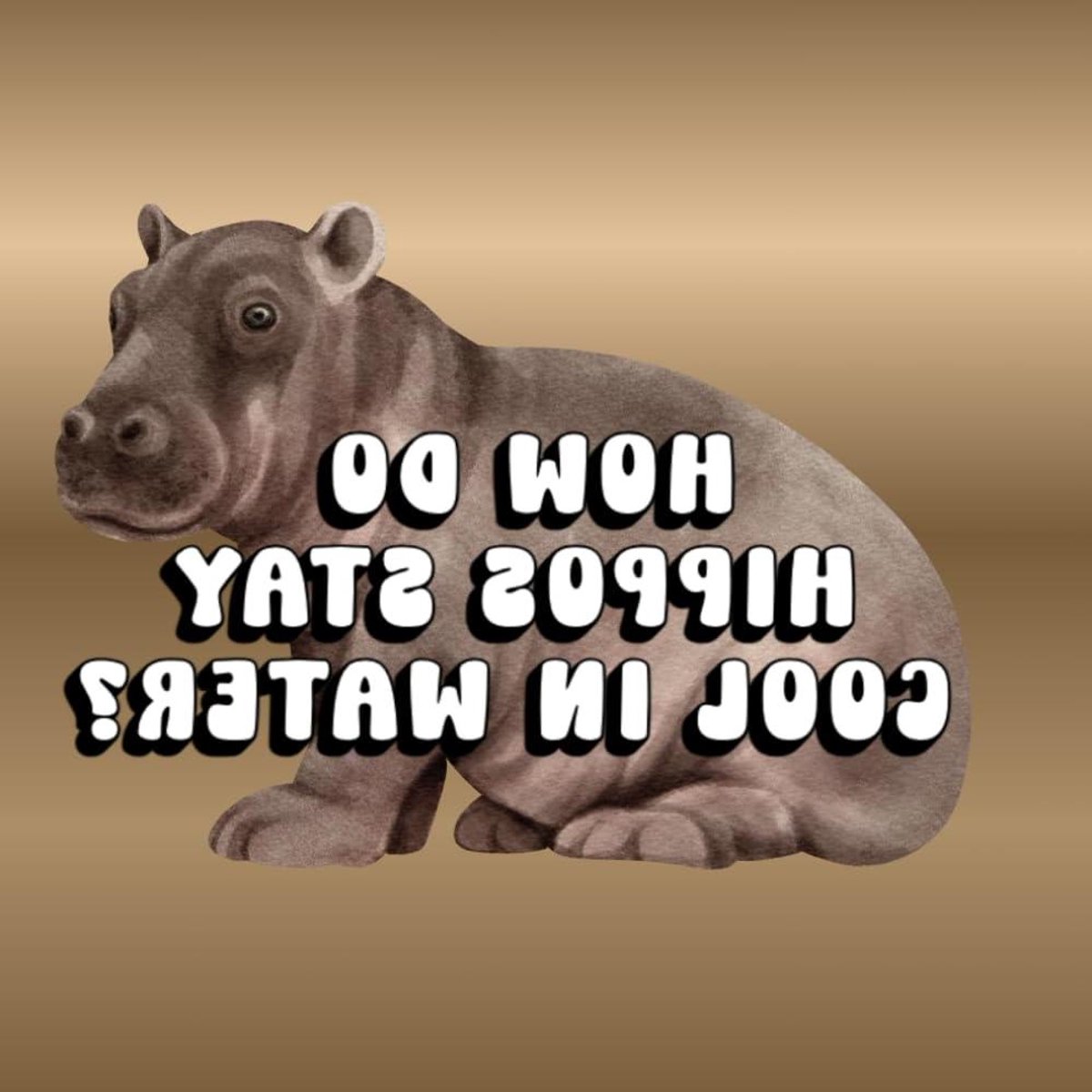 Hippo Boek - Kinderboek Educatief - Dieren Leren - STEM Verhaal - 39 Pagina's - Niet gespecificeerd