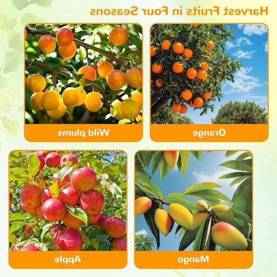 Telescopische fruitplukker met roestvrijstalen steel en katoenen tas, ideaal voor appels, kersen en pruimen, diameter 16 cm — afbeelding 4