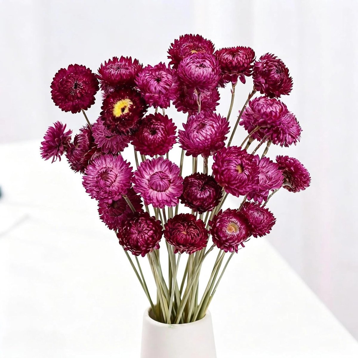 Decoratieve gedroogde madeliefjes in paars - Natuurlijke bloemen voor boho-decoraties, bruiloften, feesten en knutselprojecten - 20 stuks
