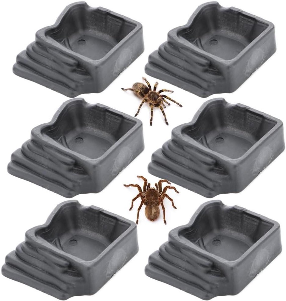 Waterbak Reptielen - Voerbakje Insecten - Drinkbakje Terrarium - Niet-poreus en vlak - 6 stuks - Zwart