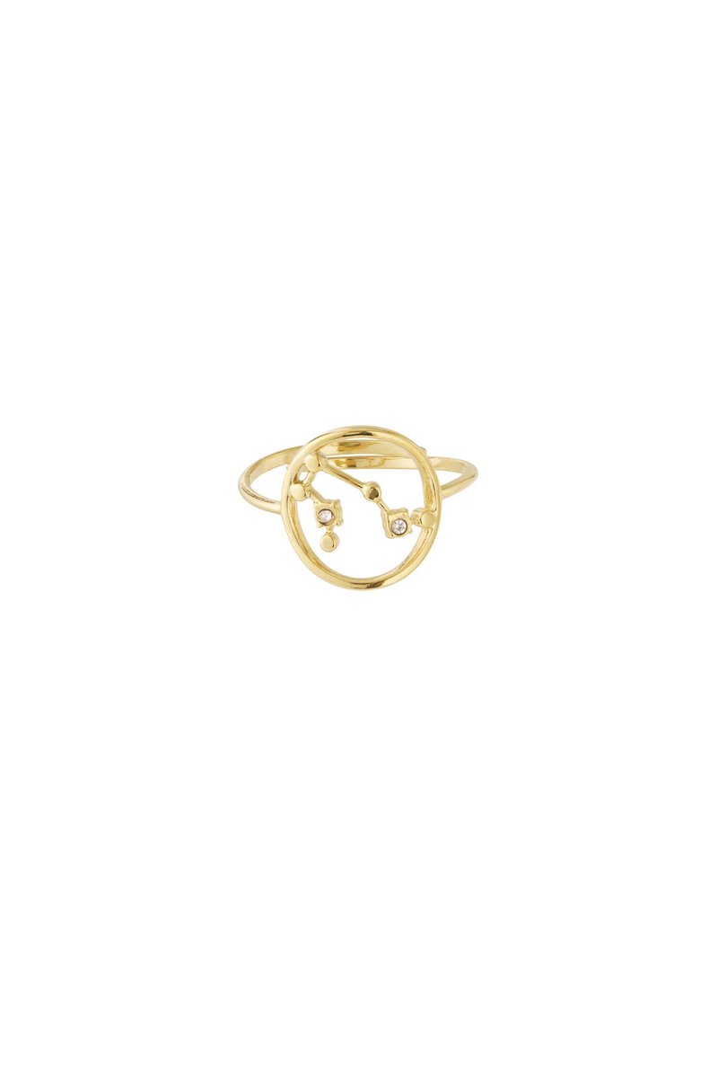 12 zodiac-ringen - Goudkleur