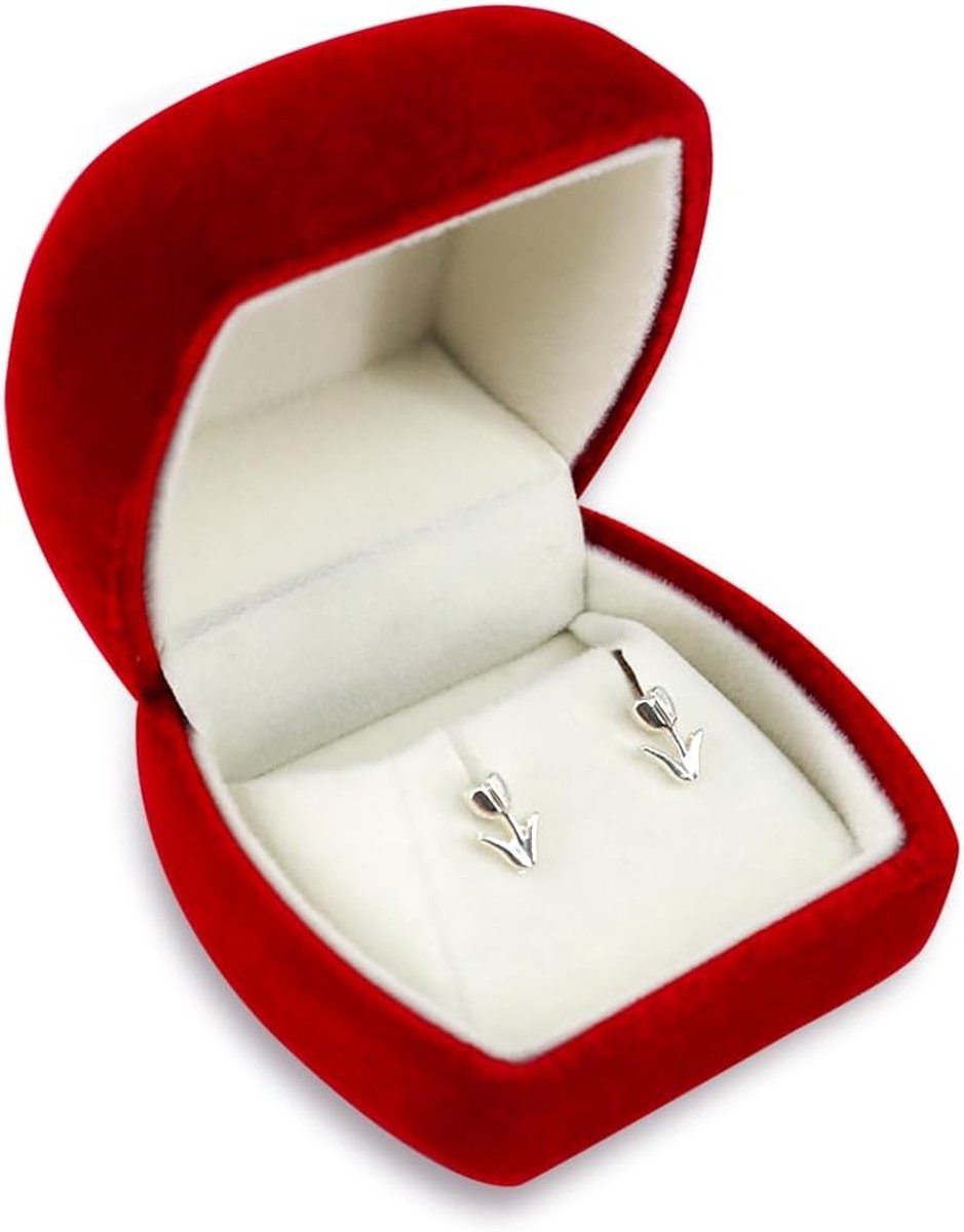 Elegante Sieradenopbergdoos voor Oorbellen, Perfecte Cadeaubox voor Sieraden, Compacte Organizer voor Oorbellen en Accessoires