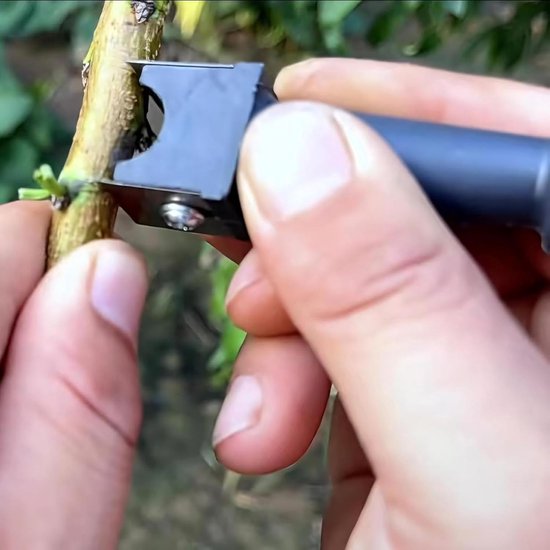 Entgereedschap Fruitboom - Planten Snijder - Tuin Verfraaien - Dubbele Plat Snijder - 13.4 cm Lengte - Zwart — afbeelding 2