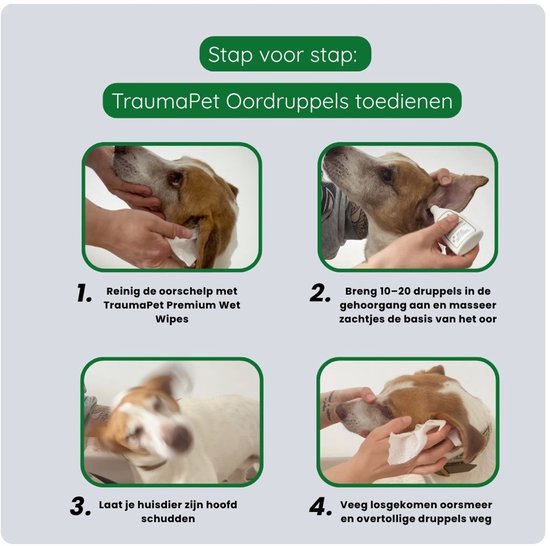 Stapsgewijze instructies voor het toedienen van TraumaPet oordruppels aan honden.
