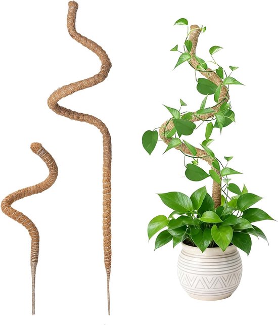 Moss pole voor Monstera - 2-delige kokosvezel plantsteun, klimstok voor klimplanten,...
