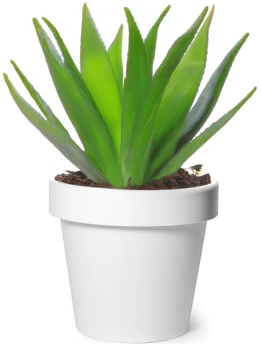 Mega Collections Plantenpot/bloempot - kunststof - wit - buiten - D25 x H22 cm