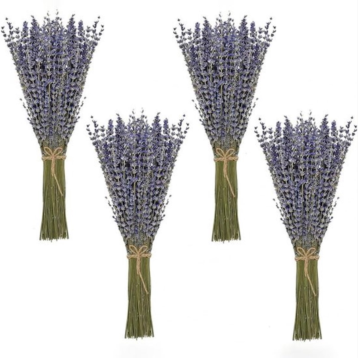 SPHProducts - Lavendel Secched Bundle - Gedroogde bloemen - 100