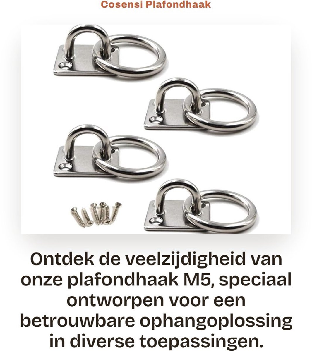 Dailygoods - Plafondhaak M5 - Robuuste oogplaat - 4 stuks - Roestvrij staal - Ideaal voor ophangsystemen - Voor binnen en buiten