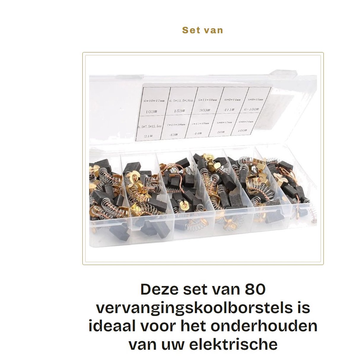 Dailygoods - Set van 80 Vervangingskoolborstels voor Elektrisch Gereedschap